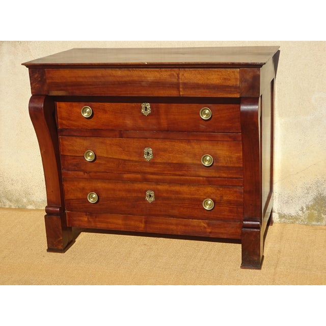 Brown Chest of Drawers in Walnut For Sale - Image 8 of 18