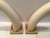Plastic Decorative Mounted Tusks - A Pair For Sale - Image 7 of 11