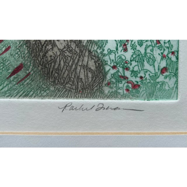 Original Hand Colored Etching of a Kitten in Tall Grass For Sale - Image 4 of 8