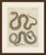 This antique snake print shows two serpents in long winding curves, one blotched in brown and one grey with a brightly...