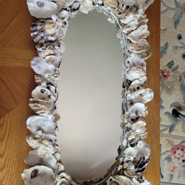 Oyster Seashell Wall Mirror For Sale In Raleigh - Image 6 of 8