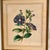 Framed very old print by Louis Van Houtte.