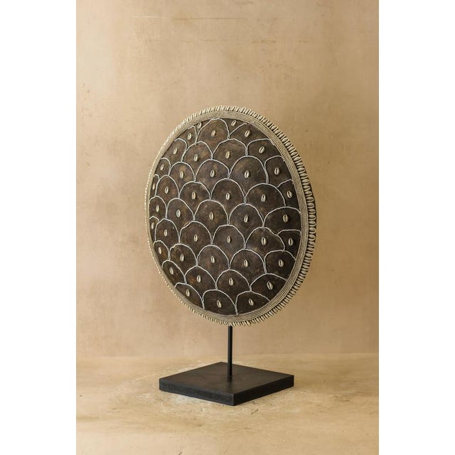 Cowrie Shell Shield, Cameroon For Sale - Image 8 of 8