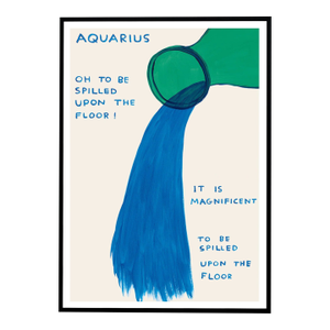 David Shrigley Aquarius Signs of the Zodiac Lithograph Poster (Individual), 2021