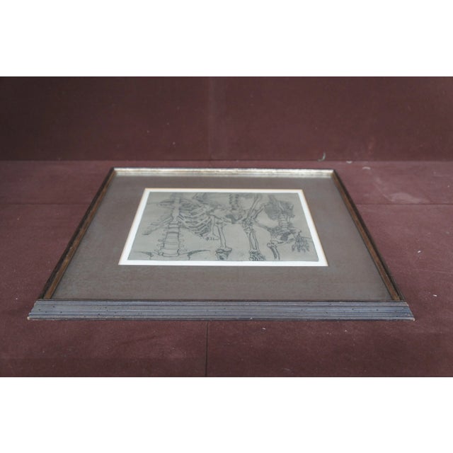 2009 Dean Pingrey Brown Bones Human Anatomy Skeleton Etching For Sale - Image 11 of 13