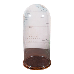 Antique Victorian Display Dome, English, Glass, Taxidermy Showcase, Collectors