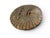 Sandstone Sun Mask Fountain Spout Sculpture, 1890 For Sale - Image 4 of 12