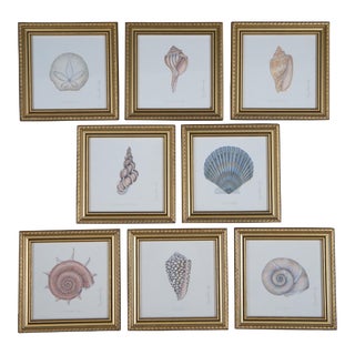 Late 20th Century 8 Karyn Frances Gray Shell Panel Series Prints Seashells Nautical Ocean Beach - Set of 8 For Sale