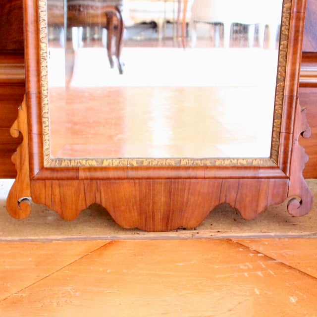 Cinnamon George II Period Walnut and Parcel Gilt Mirror With Carved and Gilt Shell Crest For Sale - Image 8 of 10