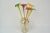 Glass Flowers from Novy Bor Glassworks, 1950s, Set of 7 For Sale - Image 4 of 10