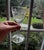 Transparent 1950s Mid-Century Modern Wine Glasses Crystal Garland Pattern by Libbey Glass Company - Set of 7 For Sale - Image 8 of 10