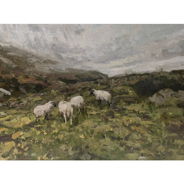 Killarney by Jim Beckner | Oil on canvas board Sheep grazing in a green landscape under a cloudy sky. For Sale