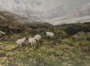 Killarney by Jim Beckner | Oil on canvas board Sheep grazing in a green landscape under a cloudy sky.