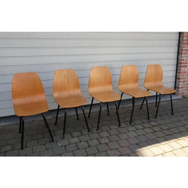 Mid-Century Modern Mid-Century Plywood Chairs, 1960s, Set of 5 For Sale - Image 3 of 12