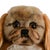 Textile Mid-Century Steiff Studio Size Pekinese Store Display Model, Made in Germany For Sale - Image 7 of 8