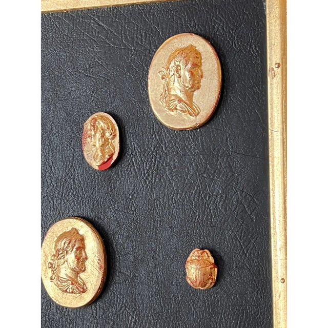 Grand Tour Neoclassical Gilded Collection of Classical Intaglio and Cameo on the Leather Ground With Gilt Frame. The rich...
