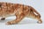 Hollywood Regency Italian Ceramic Tiger Sculpture, 1950s For Sale - Image 9 of 11
