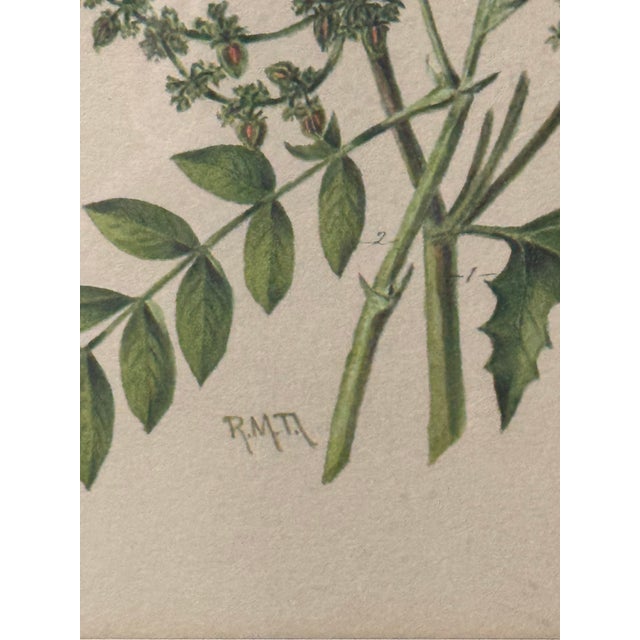 Victorian Antique Victorian Gilt Framed Floral Botanical Still Life & Leaf Lithograph Print For Sale - Image 3 of 5