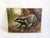 19th Century Educational Wall Chart with Badger For Sale - Image 10 of 10