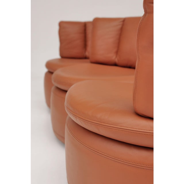 Vintage DS 800 Modular Sofa from de Sede, 1980s, Set of 3 For Sale - Image 6 of 10