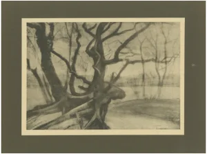After Vincent Van Gogh, Tree Roots in Winter, 1928, Portfolio Print