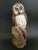 Vintage Life Size Boreal Owl on Tree Trunk Decoy by Val Waugh For Sale - Image 13 of 13