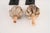 Wood Antique Carved Wooden Architectural-Salvaged Artichoke Finials—A Pair For Sale - Image 7 of 9
