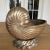 Vintage Solid Brass Nautilus Shell Planter For Sale - Image 4 of 8