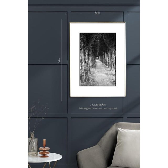 Contemporary Paul Cooklin, Treeline, Edition of 50 For Sale - Image 3 of 5