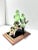 Mid Century Porcelain Parakeet Sculpture – Chinoiserie Bird Figurine on Wood Base For Sale In Louisville - Image 6 of 12