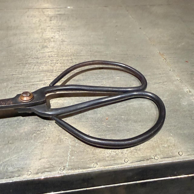 Traditional Pair of Forged Carbon Steel Loop-Handled Shears Chinese Bonsai For Sale - Image 10 of 15