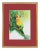Vintage Watercolor Tropical Parrot Painting by Ida Bradley For Sale