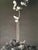 Black Late 20th Century Michael Johnson Botanicals Photography Portfolio 1979 - Set of 8 For Sale - Image 8 of 12