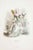 Lithograph on paper. Plate from the series "les fleurs animées". Single sheet with passepartout. "\.you must have...