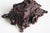 19th Century Swiss Black Forest Jewelry Box in Openly Carved Walnut, 1880 For Sale - Image 4 of 15