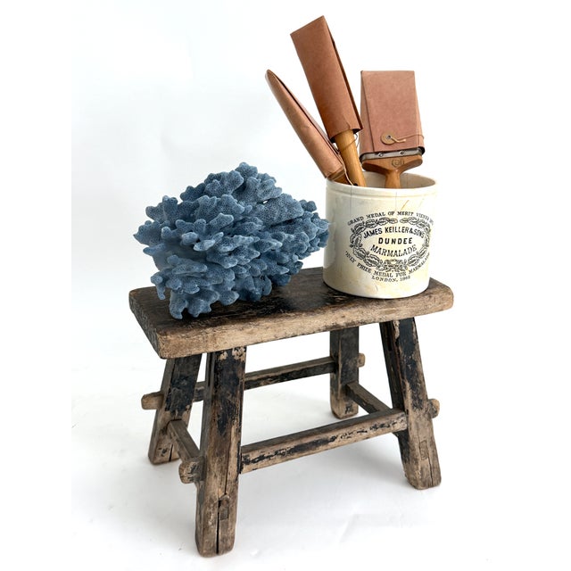 Natural Blue Coral specimen with a cut and polished base to protect surfaces. Each piece is cleaned and trimmed from its...