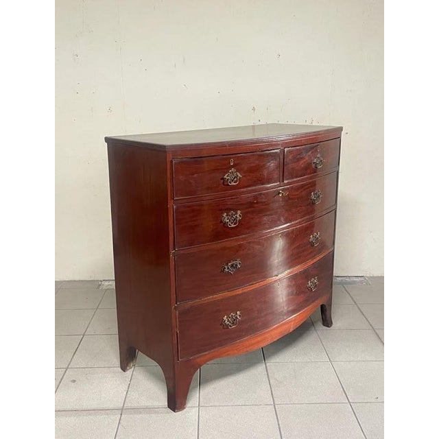 Regency-Style Chest of Drawers, Italy, 1950s For Sale - Image 14 of 15
