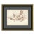 Matteo Framed Art Print by David Phoenix For Sale