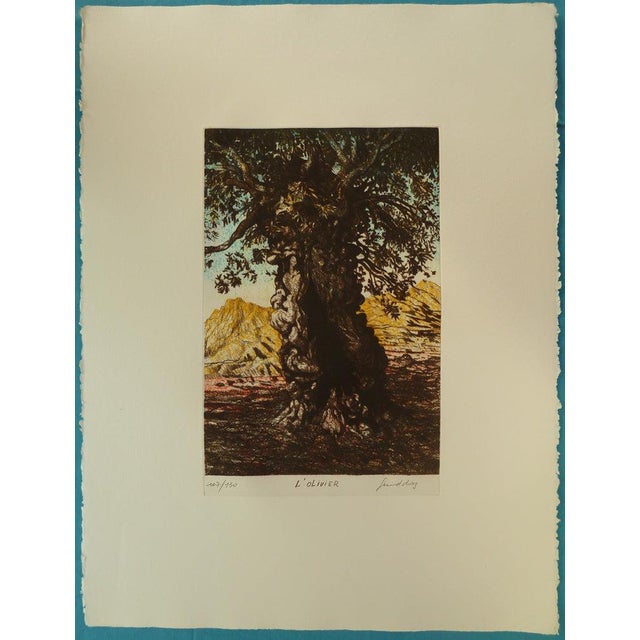 Gerard Diaz, L'olivier, Etching For Sale
