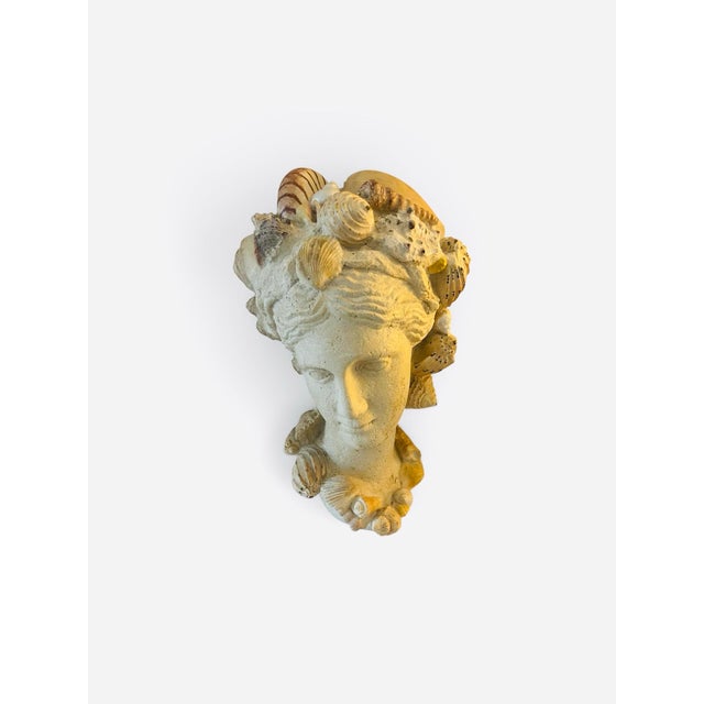 Vintage shell bust made of resin with faux shells from Neiman Marcus owned Horchow 10x10x19. Stunning and very realistic...