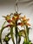 Italian Italian Tole Floral Tole Chandelier With Lilies For Sale - Image 3 of 12