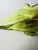 Vintage Murano Sommerso Apple Green and Brown Glass Bowl with Organic Sculptural Form, 1970 For Sale - Image 14 of 16