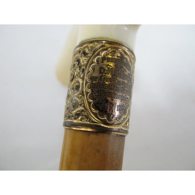 Victorian 1901 Scotland Gold Filled Engraved Repousse Bone Handle Walking Stick Cane For Sale In Portland, OR - Image 6 of 9