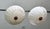 1980s French Directoire Style Incised Star Alabaster Flush Mounts - Pair For Sale - Image 4 of 18
