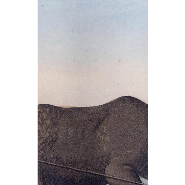 Ferrario, Chinese Farmer with Water Buffalo Agricultural Scene, 1815, Print For Sale - Image 9 of 14