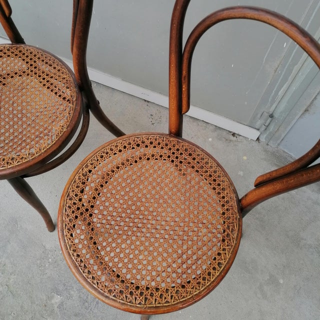 Model No. 18 Chairs from Gebrüder Thonet and Wackerlin & C., 1980s, Set of 7 For Sale - Image 17 of 18