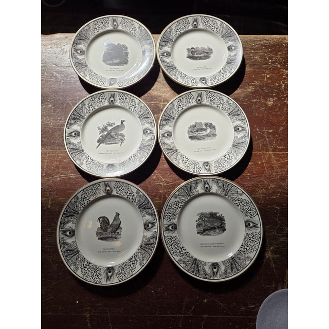 Six Bewick Bird Plates by Prinknash Abbey Pottery For Sale - Image 11 of 12