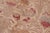 Boho Chic 1900's Pak-Persian Beige/Red Wool Rug - 8'1'' X 10'0'' For Sale - Image 4 of 9