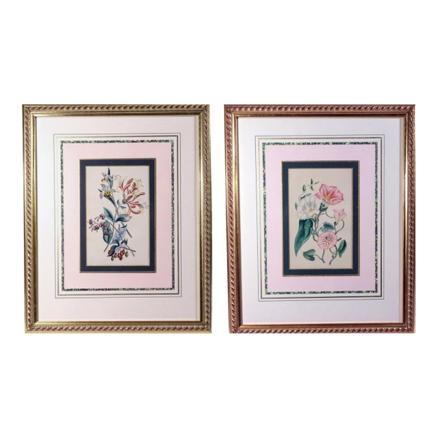 Robert Mackenzie Stark Pair of Botanical Prints From ‘Lessons From the Vegetable World’ For Sale