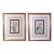 Robert Mackenzie Stark Pair of Botanical Prints From ‘Lessons From the Vegetable World’ For Sale